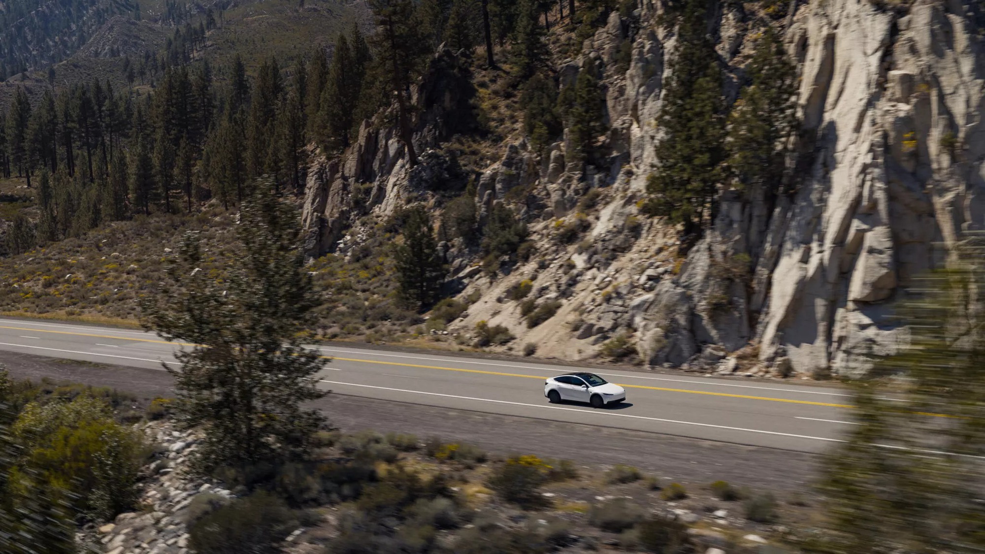 Tesla Model Y Standard - Ngoại thất Ngoại thất Tesla Model Y Standard